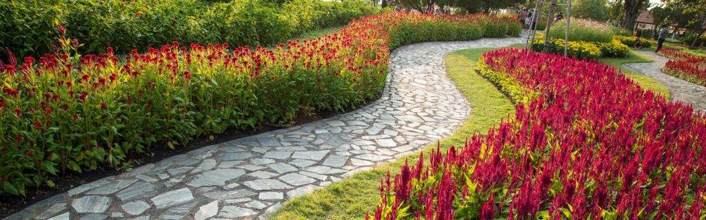 Pathway in a park